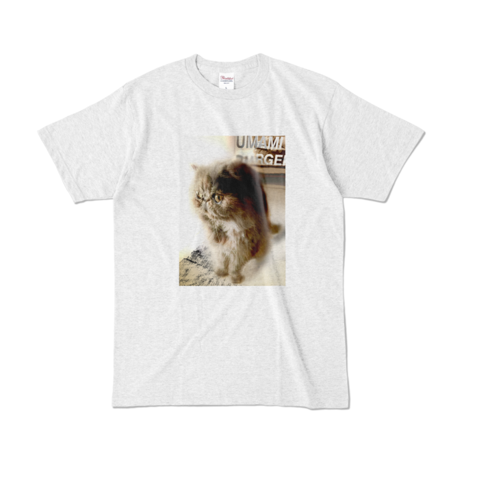 カラーTシャツ - L - アッシュ (淡色)