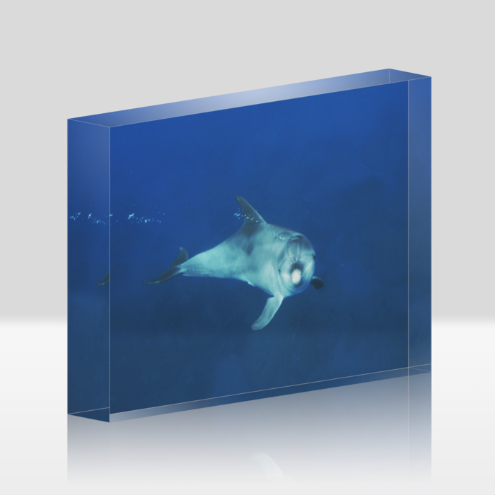 アクリルブロック - 148x100mm