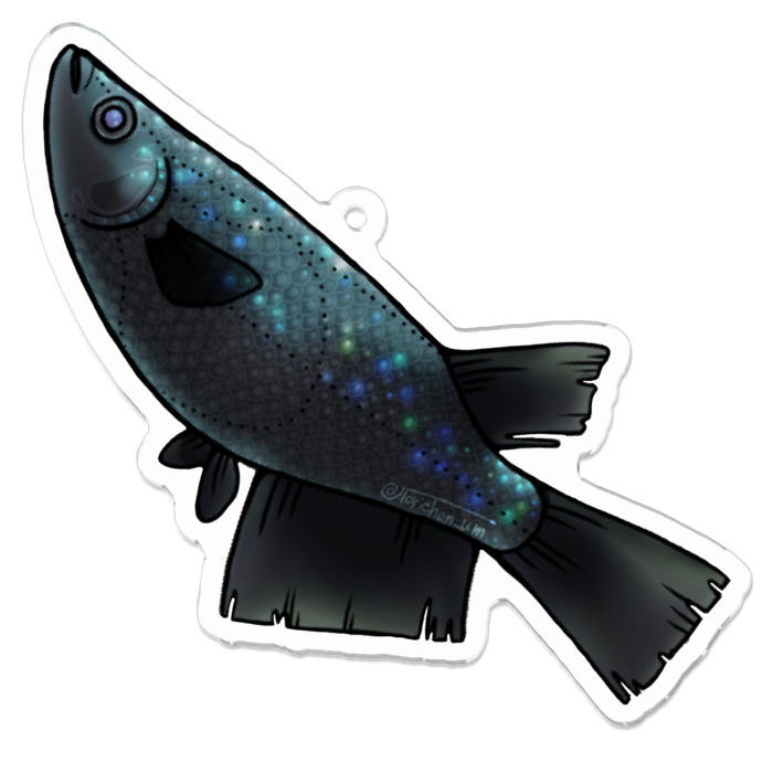 ブラックダイヤ　ー　70 x 70 ㍉／コーティングあり