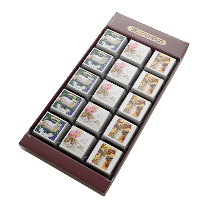 ぷりめろDECOチョコ - デザインAタイプ-15個入り