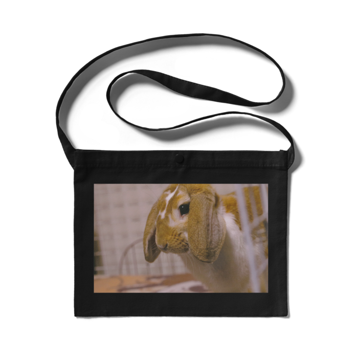 サコッシュ - 300 x 230 (mm)