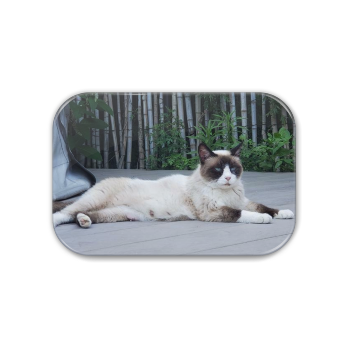 缶バッジ - 角丸 76x51mm