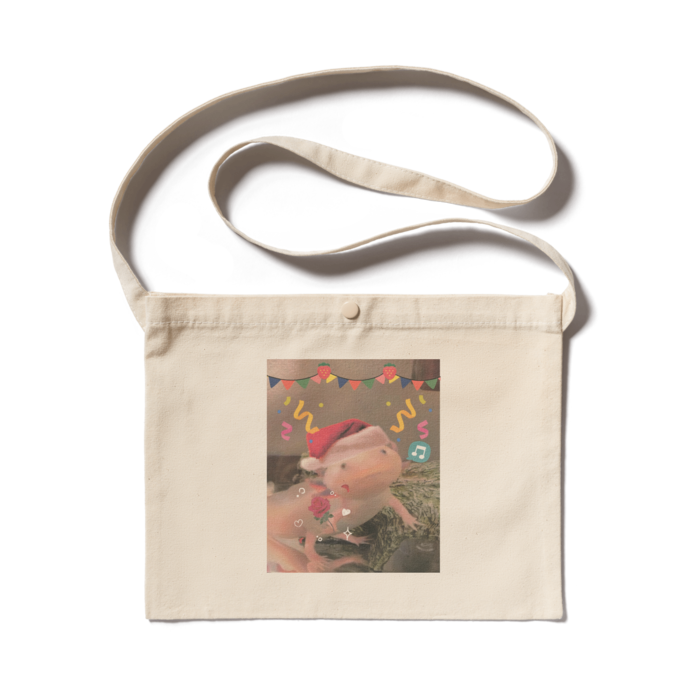 サコッシュ - 300 x 230 (mm)