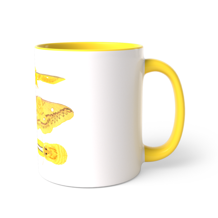 ツートンカラーマグカップ - 直径 8.2cm / 高さ 9.5cm