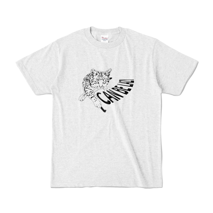 カラーTシャツ - S - アッシュ (淡色)