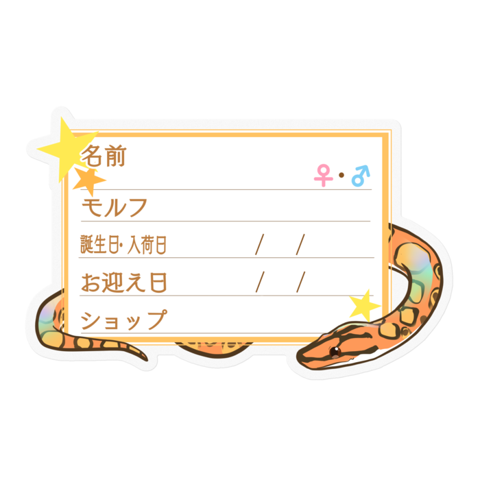 【🐍お名前ステッカー】ブラニジ(ノーマル) ‐星