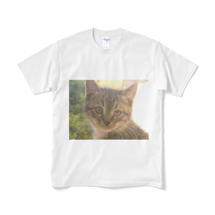 Tシャツ（短納期） - M - ホワイト