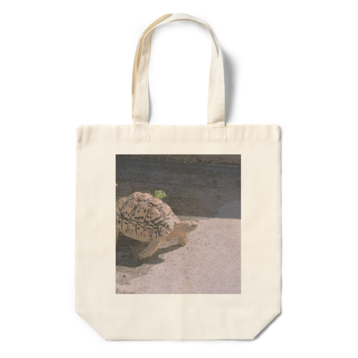 エコバッグ - 360×370×110(mm)