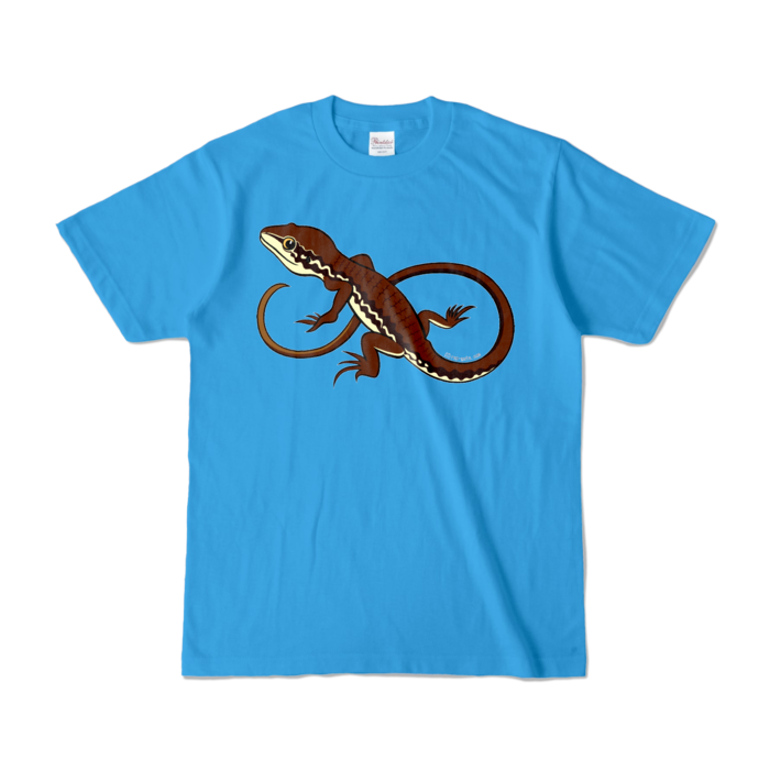 カラーTシャツ - S - ターコイズ (濃色)