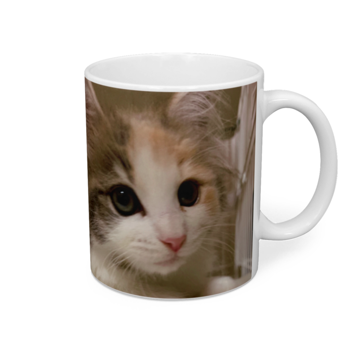マグカップ - 直径 8 cm / 高さ 9.5 cm