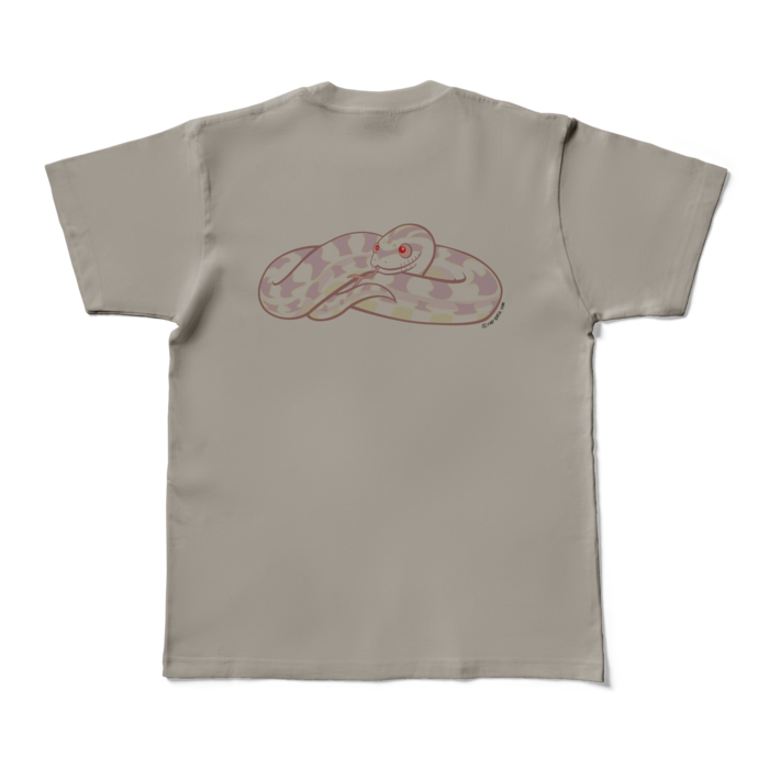 カラーTシャツ - M - シルバーグレー (淡色)