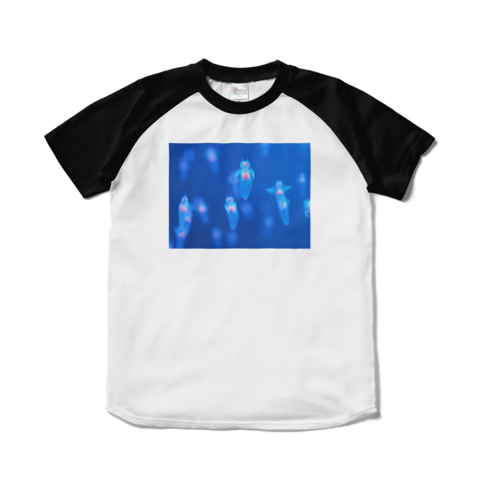 ラグランTシャツ - S - ホワイト×ブラック