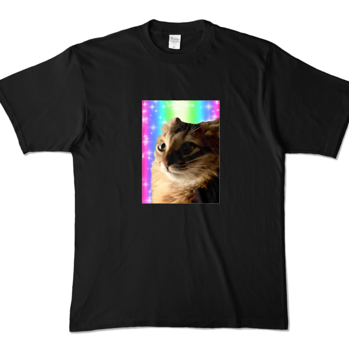 カラーTシャツ - XL - ブラック (濃色)
