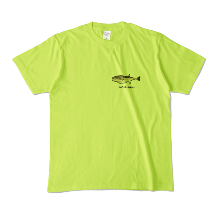 カラーTシャツ - M - ライトグリーン (淡色)
