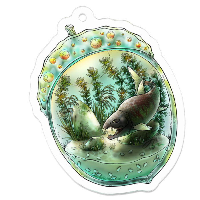 50 x 50㍉／コーティングあり