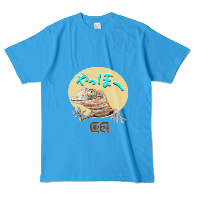 カラーTシャツ - L - ターコイズ (濃色)