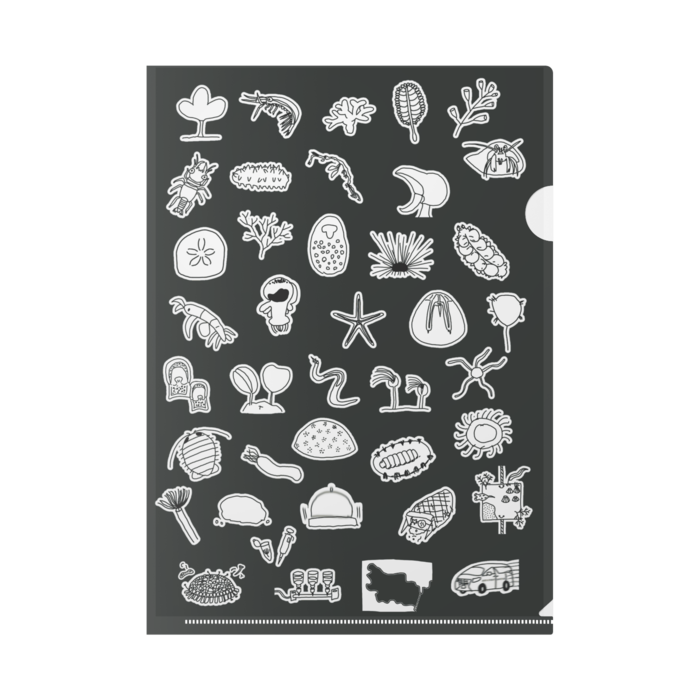 クリアファイル - A4