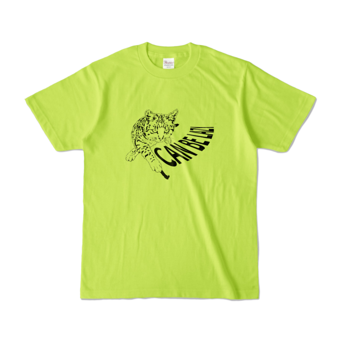 カラーTシャツ - S - ライトグリーン (淡色)