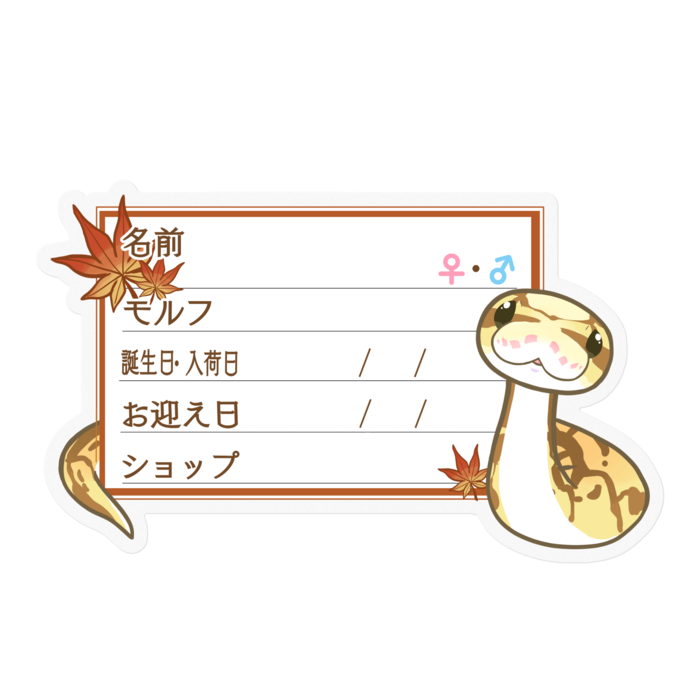 【🐍お名前ステッカー】ボールパイソン(クイーンビーミニ) ‐もみじ