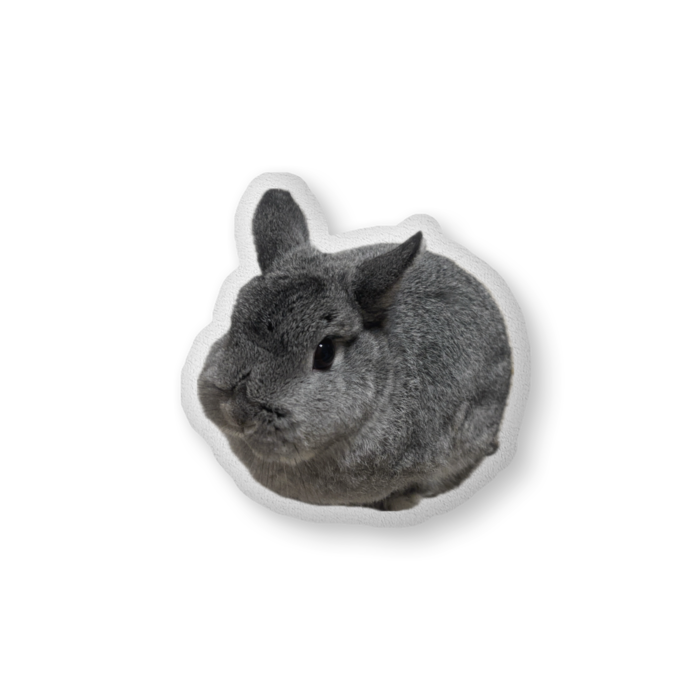 ふかふかクッション - 大（H61×W86cm） - 片面