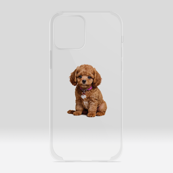 クリアiPhoneケース - iPhone12 / 12 Pro