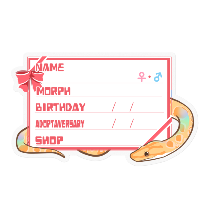 【🐍お名前ステッカー】ブラニジ(アルビノ) ‐リボン／ピンク(英語)