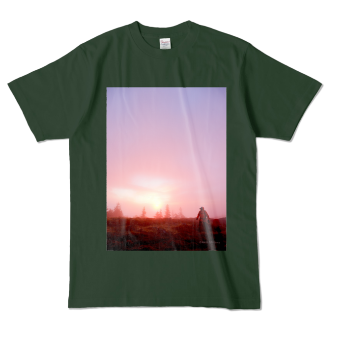 カラーTシャツ - L - フォレスト (濃色)