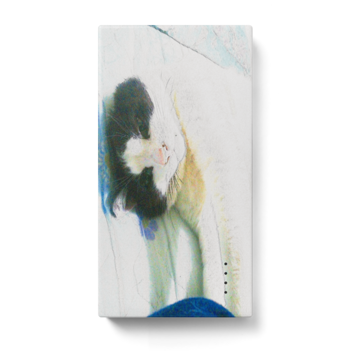 モバイルバッテリー - 123 x 65 (mm)