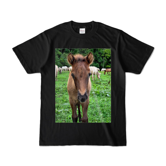 カラーTシャツ - S - ブラック (濃色)