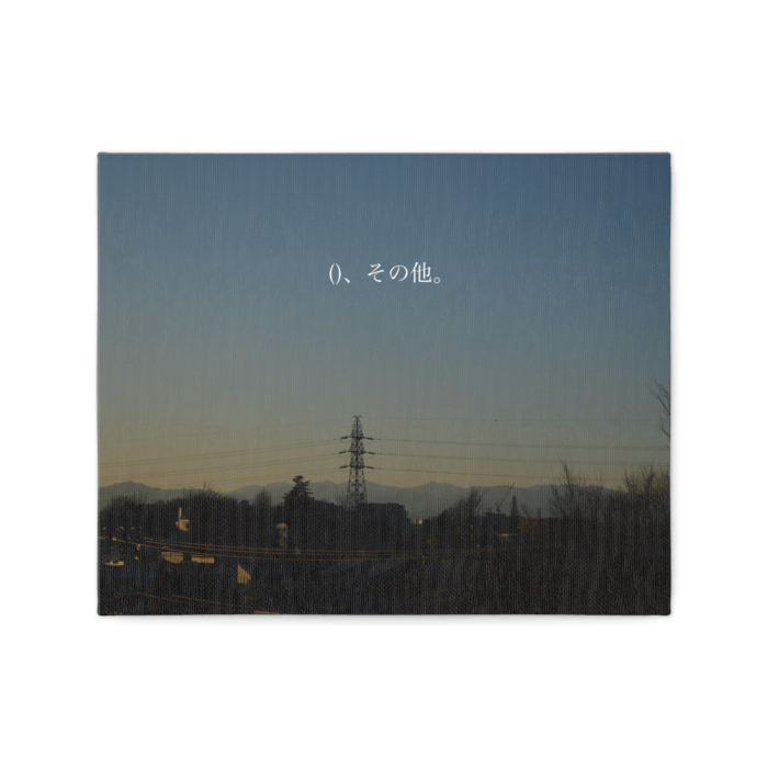 キャンバス - F3