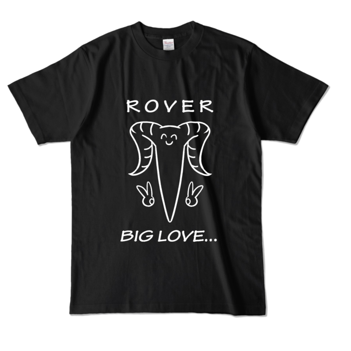 カラーTシャツ - L - ブラック (濃色)