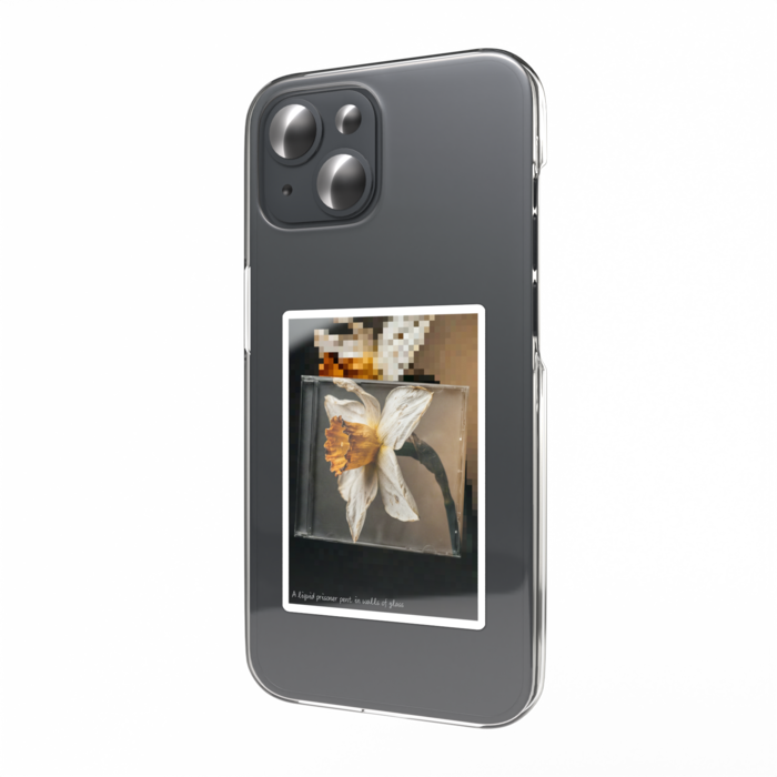 09: Narcissus (水仙)