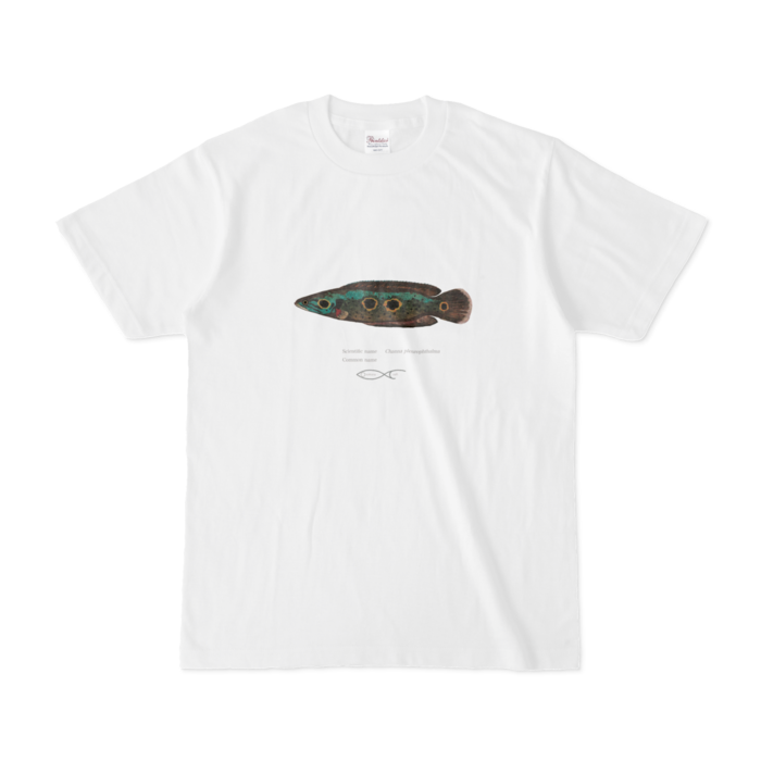 Tシャツ - S - 白