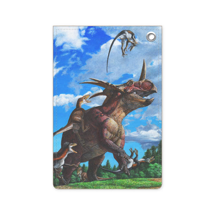 パスケース - 70 x 105 (mm)