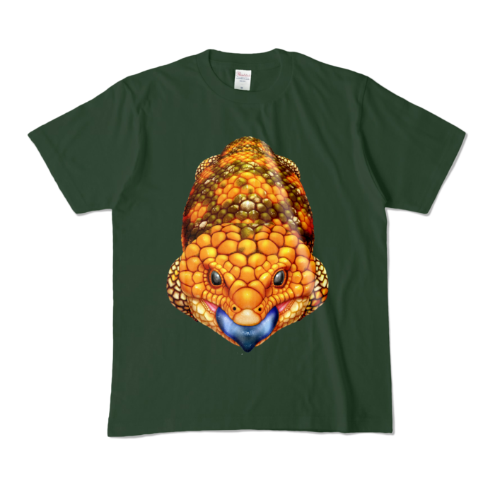 カラーTシャツ - M - フォレスト (濃色)