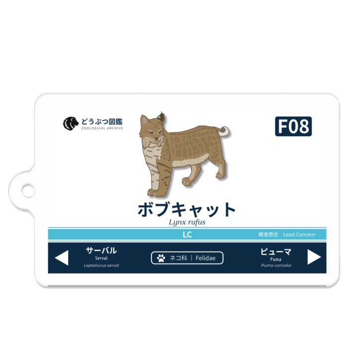 ボブキャット