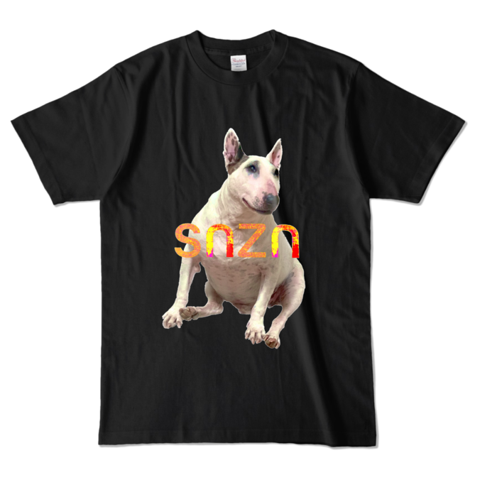 カラーTシャツ - L - ブラック (濃色)