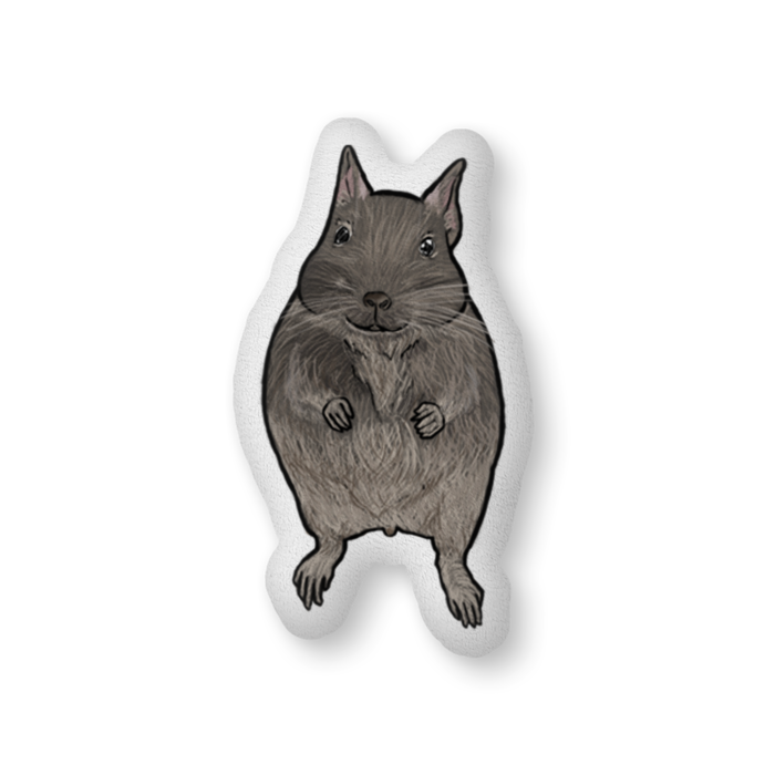 ふかふかクッション - 中（H56×W36cm） - 両面