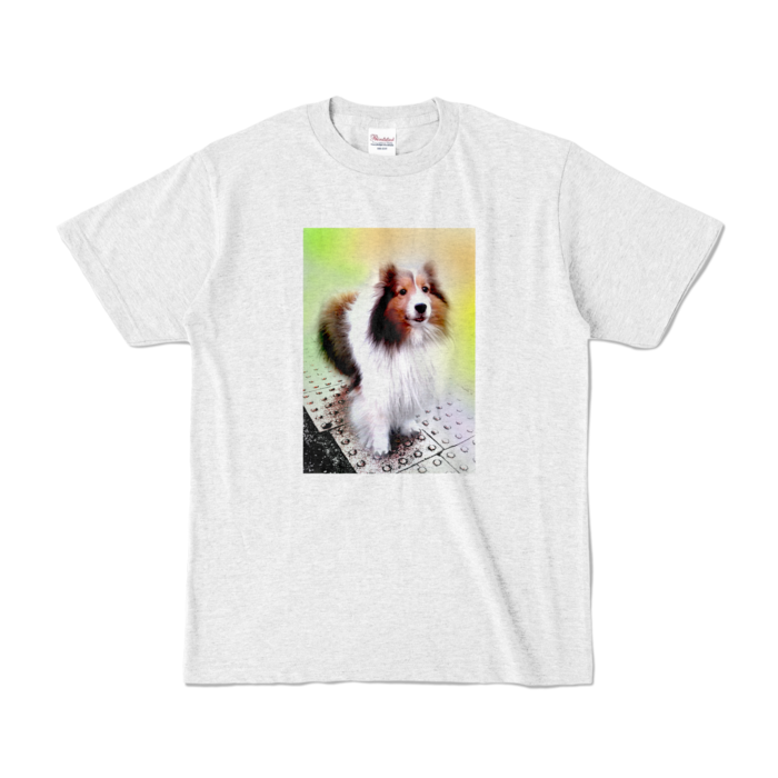 カラーTシャツ - S - アッシュ (淡色)