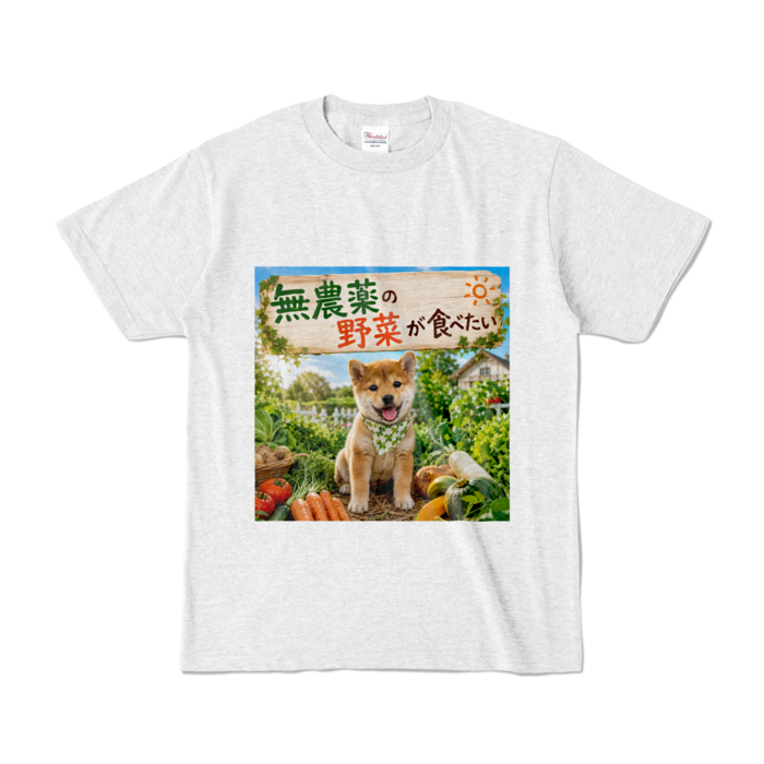 カラーTシャツ - S - アッシュ （淡色）