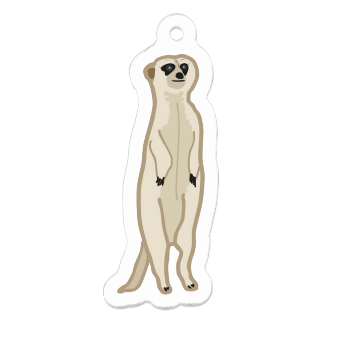 みーあきゃっと