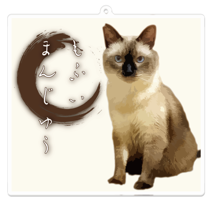 シャム猫まんじゅうアクリルキーホルダー - 100 x 100 (mm)