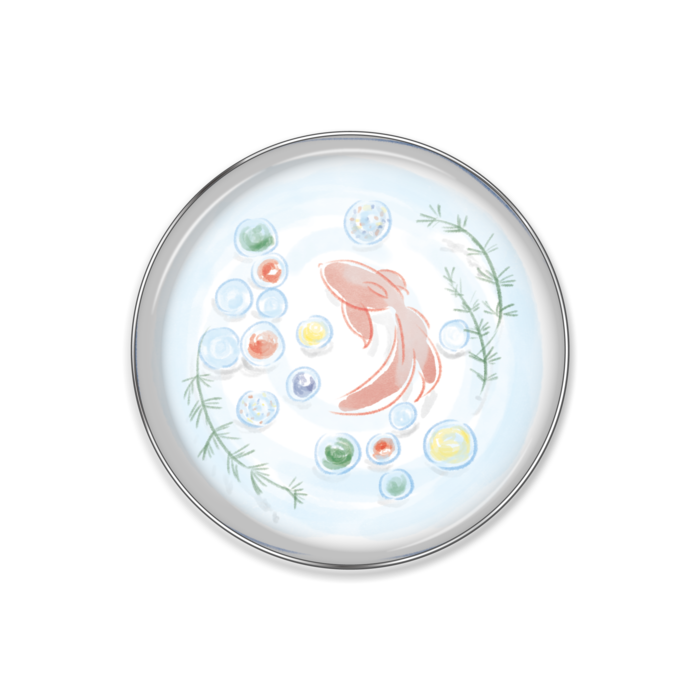 ベスト 金魚 イラスト 綺麗 綺麗 美しい 金魚 イラスト