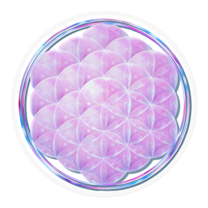 ピンク　ー　透明／100 x 100 (mm)