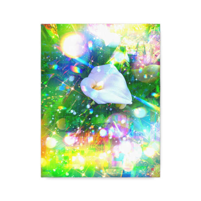 キャンバス - F6