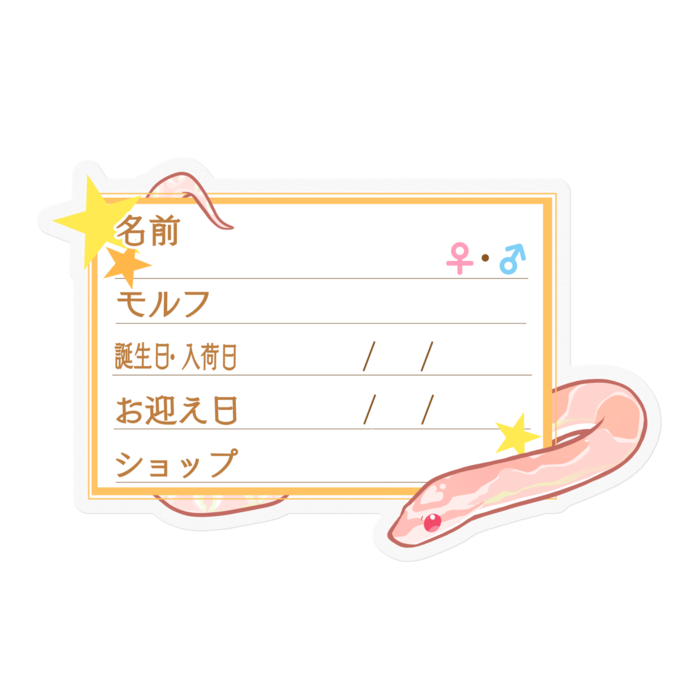 【🐍お名前ステッカー】コーンスネーク(サーモンスノー) - 星