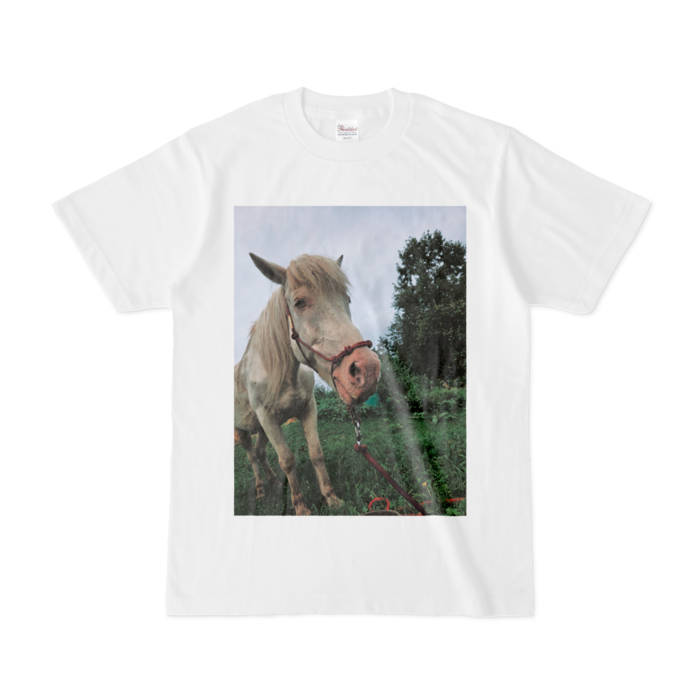 Tシャツ - S - 白