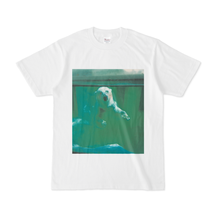 Tシャツ - S - 正面