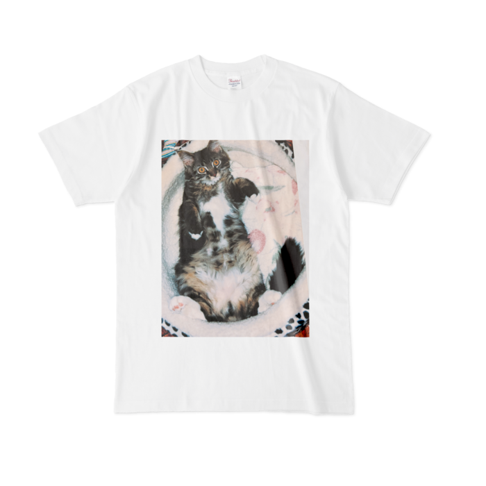 Tシャツ - L - 白