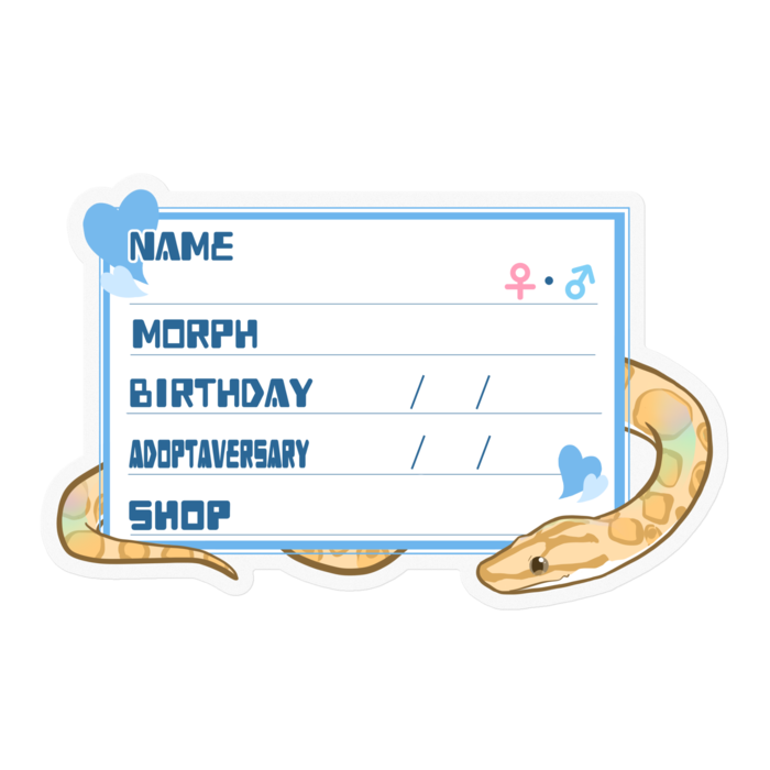 【🐍お名前ステッカー】コロニジ(パラディグマ) ‐ハート／ブルー(英語)